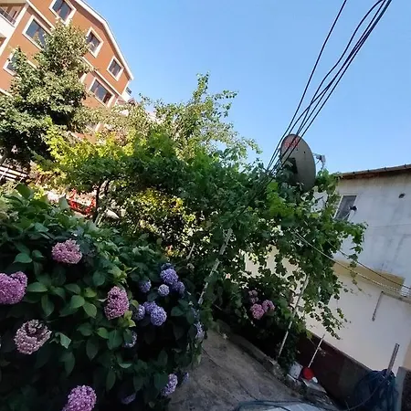 Apartament Rafet Aksoy